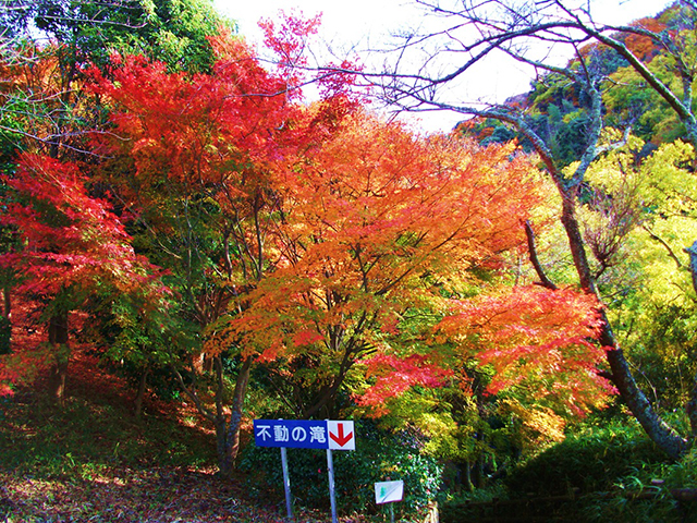 浅野公園