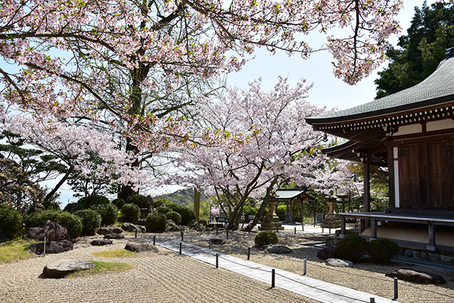 圓城寺