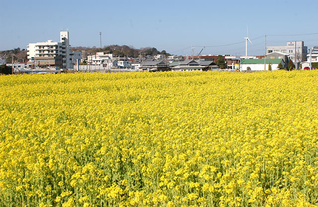 嘉兵衛の里