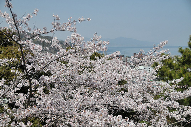 曲田山公園