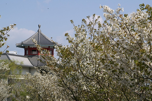 南あわじ市滝川記念美術館 玉青館