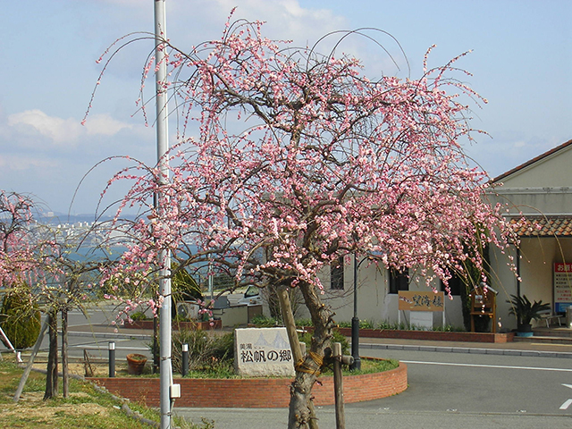 美湯 松帆の郷