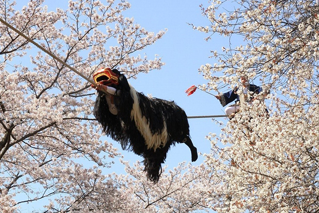 伊勢の森神社 あわじ御所桜幸福の道