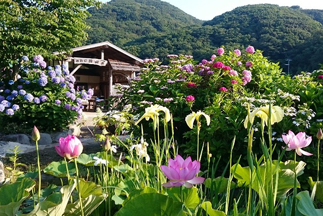 源流の郷　あわじ花山水