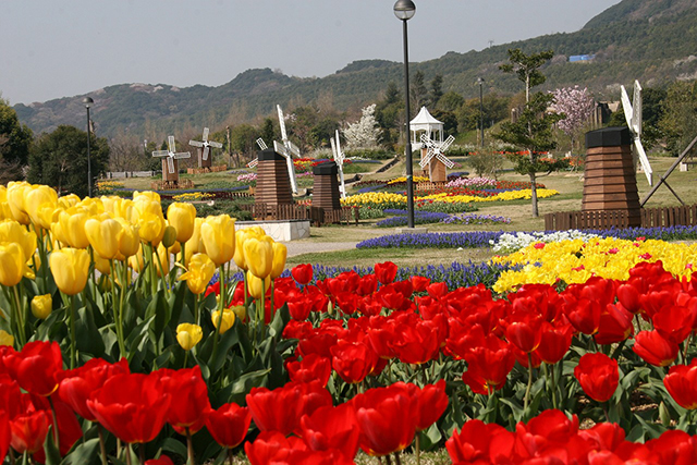 淡路島国営明石海峡公園