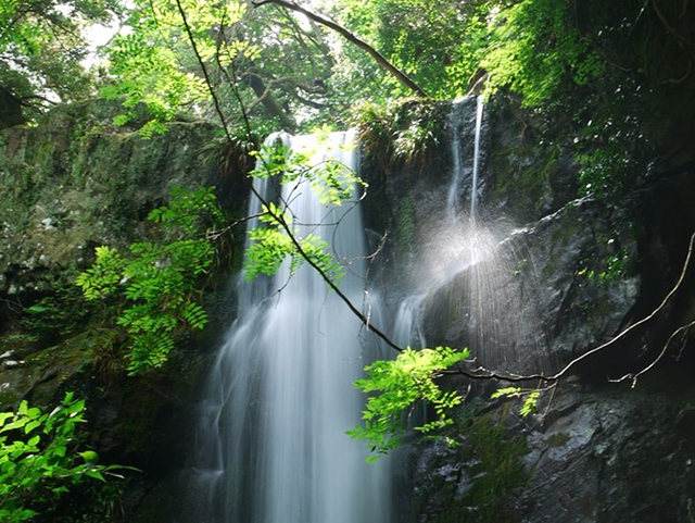 鮎屋の滝・鮎屋の森