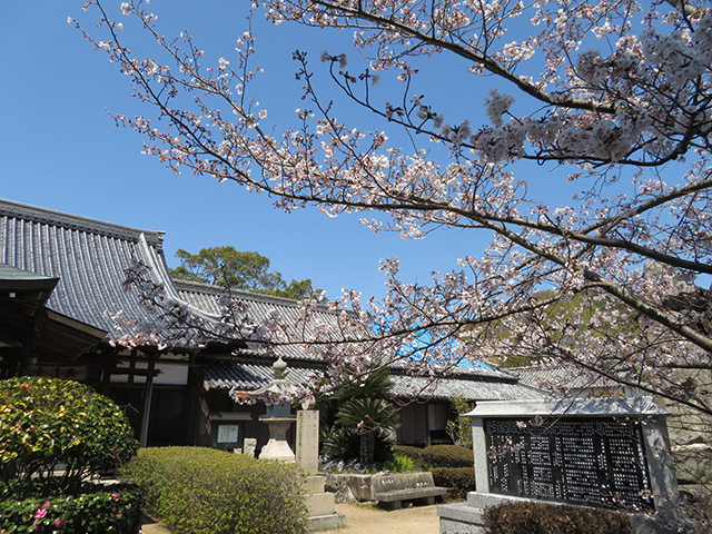 蓮花寺