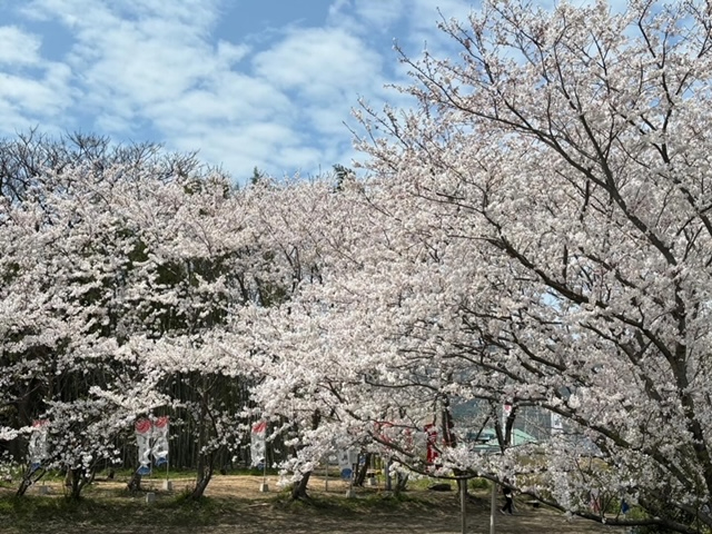 志知城跡<font color='red'>(NEW)</font>