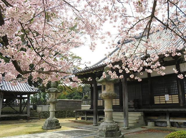 妙勝寺